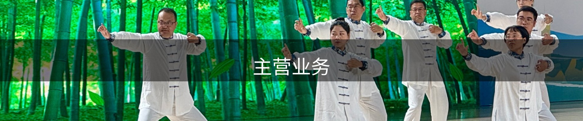 主营业务