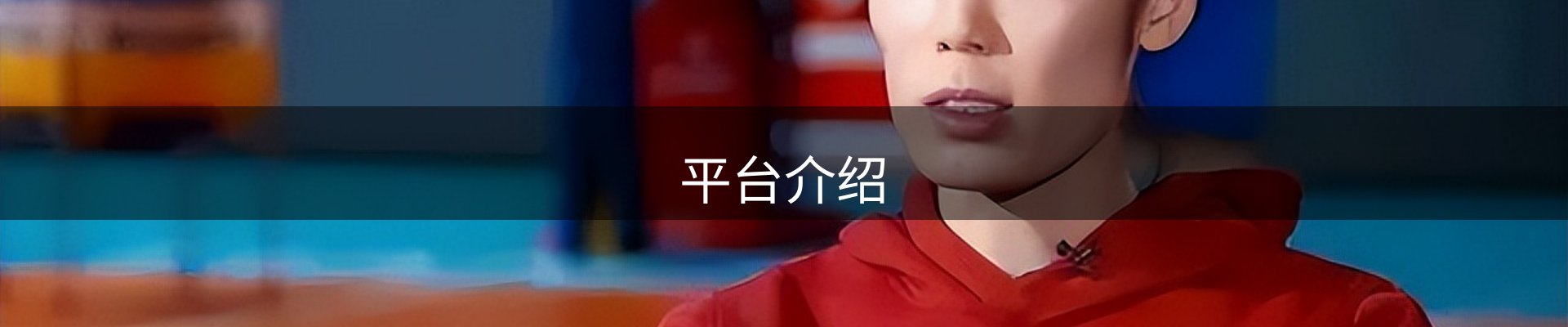平台介绍